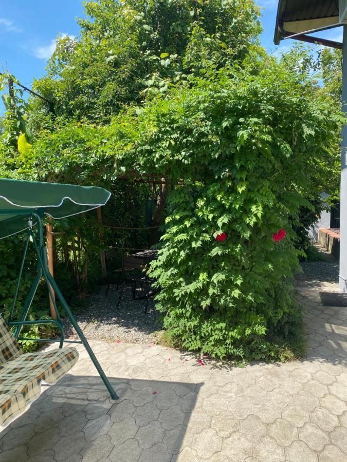 Гостевой Дом «Green Garden» Sukhumi Eksteriør bilde